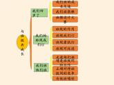四上道德与法治期末复习课件
