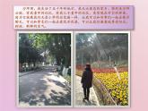 小学二年级上册道德与法治-我爱家乡山和水第二课时部编部编(2016版)ppt课件