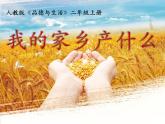 小学二年级上册道德与法治课件-14.家乡物产养育我-部编版-(21张)ppt课件