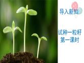 小学二年级下册道德与法治-4.试种一粒籽-部编(6)ppt课件