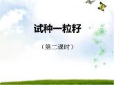 小学二年级下册道德与法治-4.试种一粒籽-部编(2份打包)ppt课件