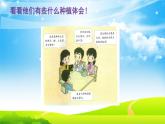 试种一粒籽PPT课件免费下载
