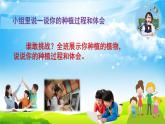 试种一粒籽PPT课件免费下载