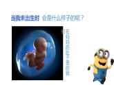 小学三年级上册道德与法治课件-7-生命最宝贵--人教(新版)ppt课件