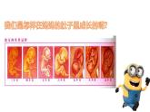 小学三年级上册道德与法治课件-7-生命最宝贵--人教(新版)ppt课件