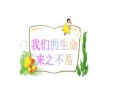 小学三年级上册道德与法治课件-7-生命最宝贵--人教(新版)ppt课件