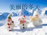 小学一年级上册道德与法治-美丽的冬天-部编(4)ppt课件