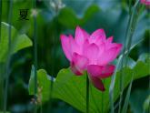 小学一年级上册道德与法治-美丽的冬天-部编(4)ppt课件