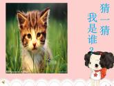 小学一年级下册道德与法治教学课件-7《可爱的动物》部编版(38张)课件