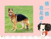 小学一年级下册道德与法治教学课件-7《可爱的动物》部编版(38张)课件