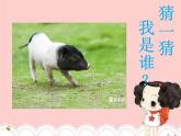 小学一年级下册道德与法治教学课件-7《可爱的动物》部编版(38张)课件