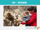 小学一年级下册道德与法治教学课件-7《可爱的动物》部编版(20张)课件
