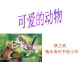 小学一年级下册道德与法治教学课件-7《可爱的动物》部编版(30张)课件
