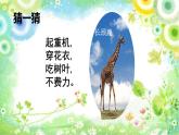 小学一年级下册道德与法治课件-《可爱的动物》部编版(31张)课件