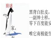 小学一年级下册道德与法治教学课件-7《可爱的动物》部编版(14张)课件