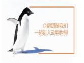 小学一年级下册道德与法治教学课件-7《可爱的动物》部编版(14张)课件