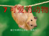 小学一年级下册道德与法治教学课件-7《可爱的动物》部编版(28张)课件