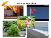 小学一年级下册道德与法治课件-5风儿轻轻吹部编版(14张)课件