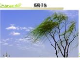 小学一年级下册道德与法治课件-5风儿轻轻吹部编版(22张)(1)课件