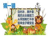 小学一年级下册道德与法治课件-7可爱的动物部编版(22张)课件