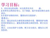 小学一年级下册道德与法治课件-7可爱的动物部编版(29张)课件 (1)
