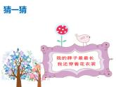 小学一年级下册道德与法治课件-7可爱的动物部编版(29张)课件 (1)