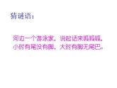 小学一年级下册道德与法治课件-7可爱的动物部编版(47张)课件