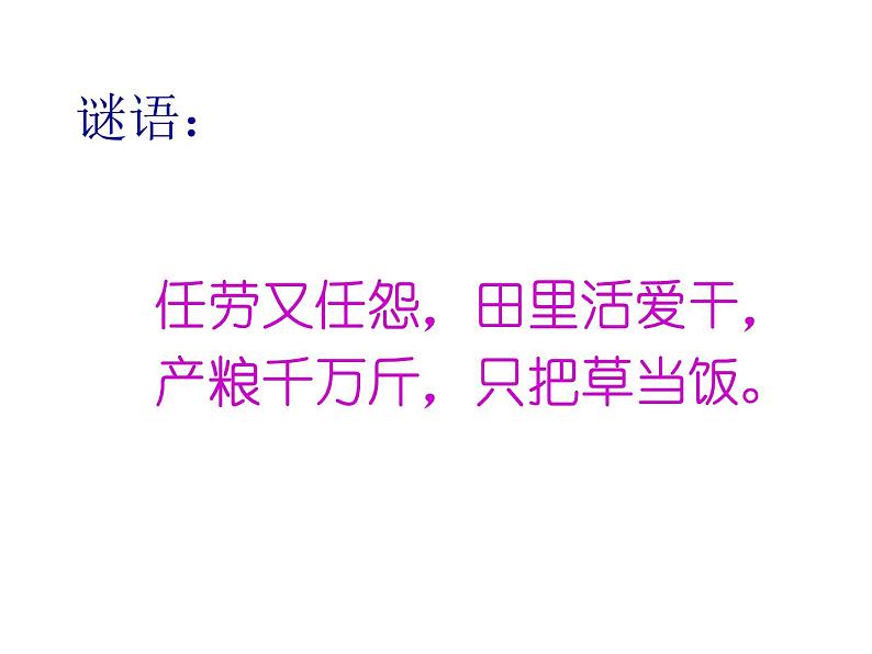 小学一年级下册道德与法治课件-7可爱的动物部编版(47张)课件第7页