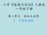 小学一年级下册道德与法治课件-7可爱的动物部编版(39张)课件