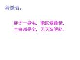 小学一年级下册道德与法治课件-7可爱的动物部编版(37张)课件