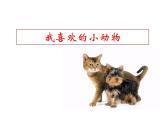 小学一年级下册道德与法治课件-7可爱的动物部编版(13张)课件