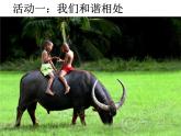 小学一年级下册道德与法治课件-7可爱的动物部编版(33张)课件