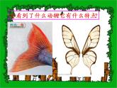 小学一年级下册道德与法治课件-7可爱的动物部编版(14张)课件