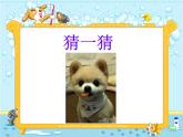 小学一年级下册道德与法治课件-7可爱的动物部编版(25张)课件