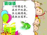 小学一年级下册道德与法治课件-7可爱的动物部编版(20张)课件