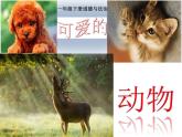 小学一年级下册道德与法治课件-7可爱的动物部编版(26张)课件