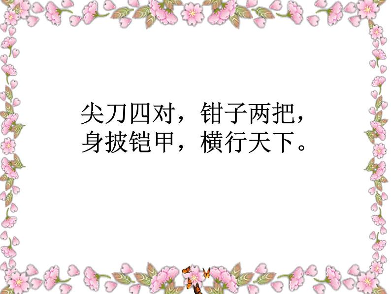 小学一年级下册道德与法治课件-7可爱的动物部编版(26张)课件第7页