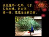 小学一年级下册道德与法治课件-7可爱的动物部编版(35张)课件
