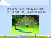 小学一年级下册道德与法治课件-7可爱的动物部编版(20张)课件
