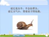 小学一年级下册道德与法治课件-7可爱的动物部编版(20张)课件