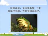 小学一年级下册道德与法治课件-7可爱的动物部编版(20张)课件