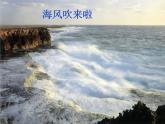 小学一年级下册品德-风儿轻轻吹(7)-部编ppt课件