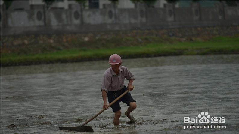 小学一年级下册道德与法治-8大自然-谢谢您-部编(25张)ppt课件第6页