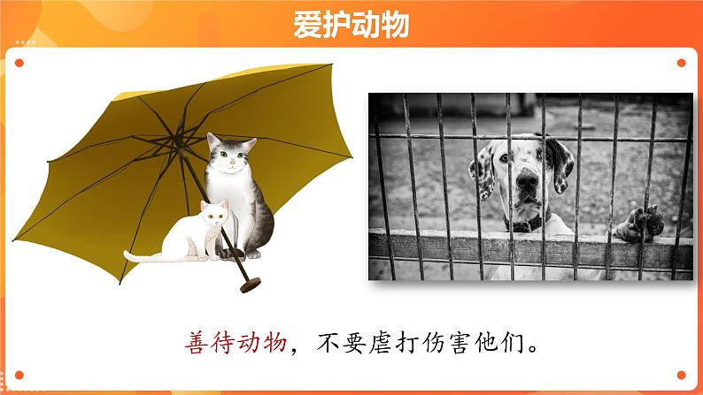 第二单元6 花儿草儿真美丽 2课时PPT课件+教案+素材02