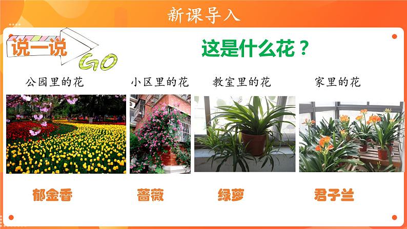 第二单元6 花儿草儿真美丽 2课时PPT课件+教案+素材03