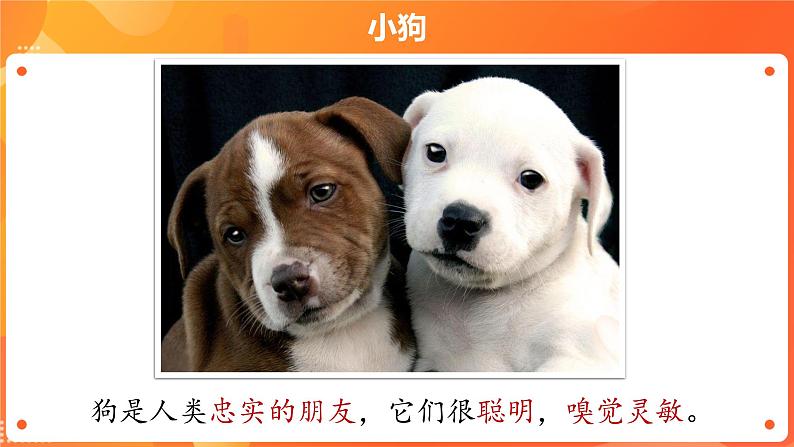 第二单元6 花儿草儿真美丽 2课时PPT课件+教案+素材03