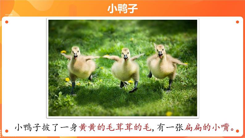 第二单元6 花儿草儿真美丽 2课时PPT课件+教案+素材04