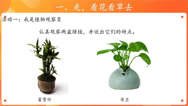 第二单元6 花儿草儿真美丽 2课时PPT课件+教案+素材05