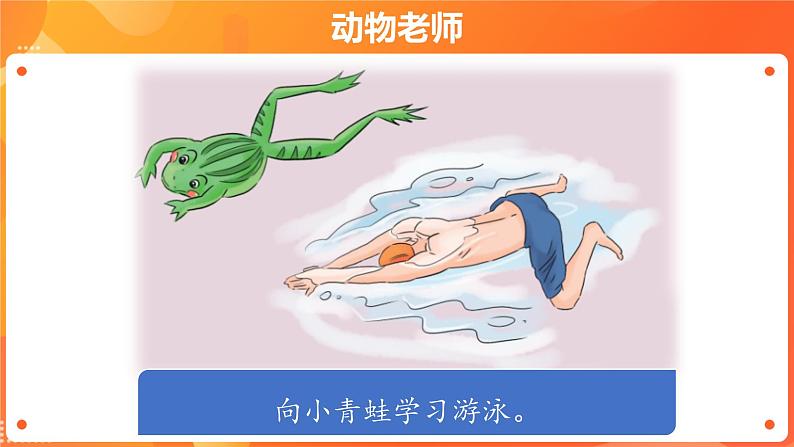 第二单元7 可爱的动物 2课时PPT课件+教案+素材02