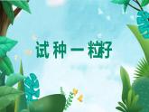 第4课 试种一粒籽 课件（共20张PPT）